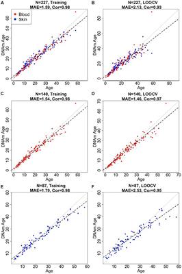 Multi-Tissue Methylation Clocks for Age and Sex Estimation in the Common Bottlenose Dolphin